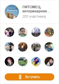 Группа Питомец в Одноклассниках группа питомец в одноклассниках